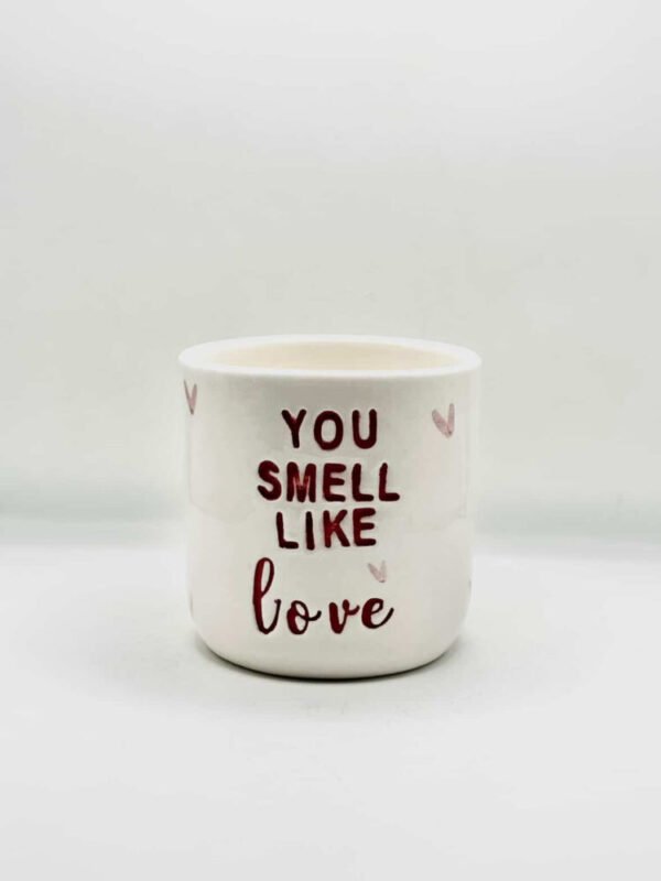 Candelier premium candles  Χειροποίητο κερί σόγιας κόκκινα φρούτα